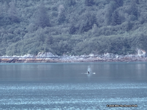 Glacier Bay NP