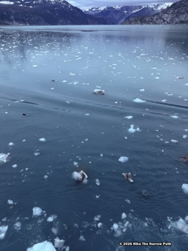 Glacier Bay NP