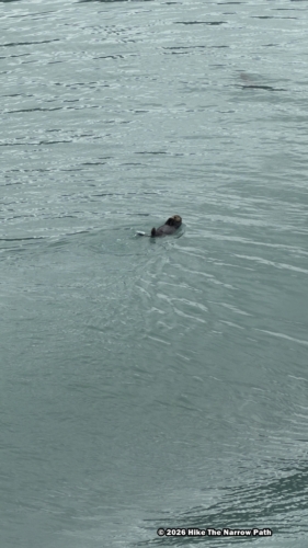 Glacier Bay NP