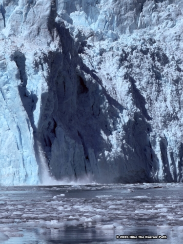 Aialik Glacier