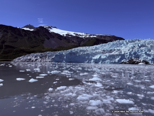 Aialik Glacier