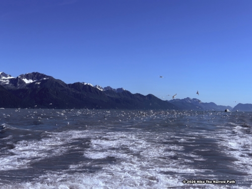 Kenai Fjords NP
