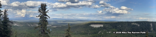 Scenic UTV Nature Ride 