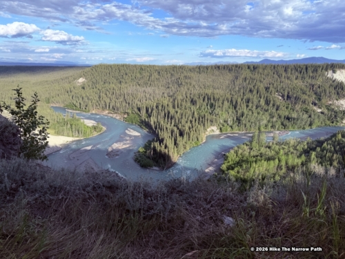 Scenic UTV Nature Ride 