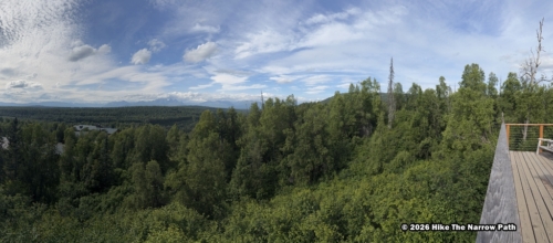 Treehouse Trail