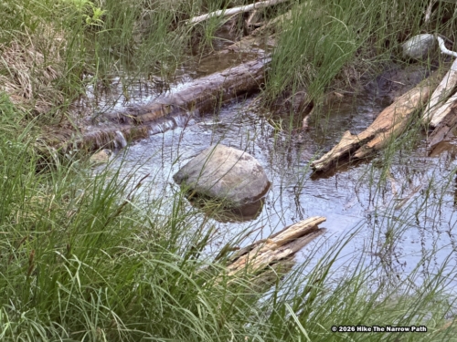 Horseshoe Lake Trail