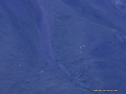 Tundra Wilderness Tour