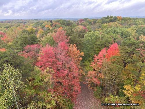 Ash Cave Fire Tower