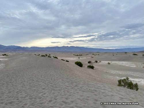 Mesquite Flat Sand Dunes - Sunrise
