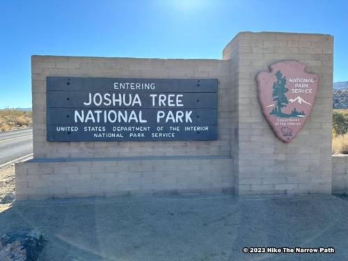 Joshua Tree